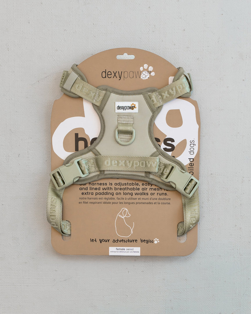 Dexypaws - Harnais Imperméable - Harnais Sans Traction pour Chiens