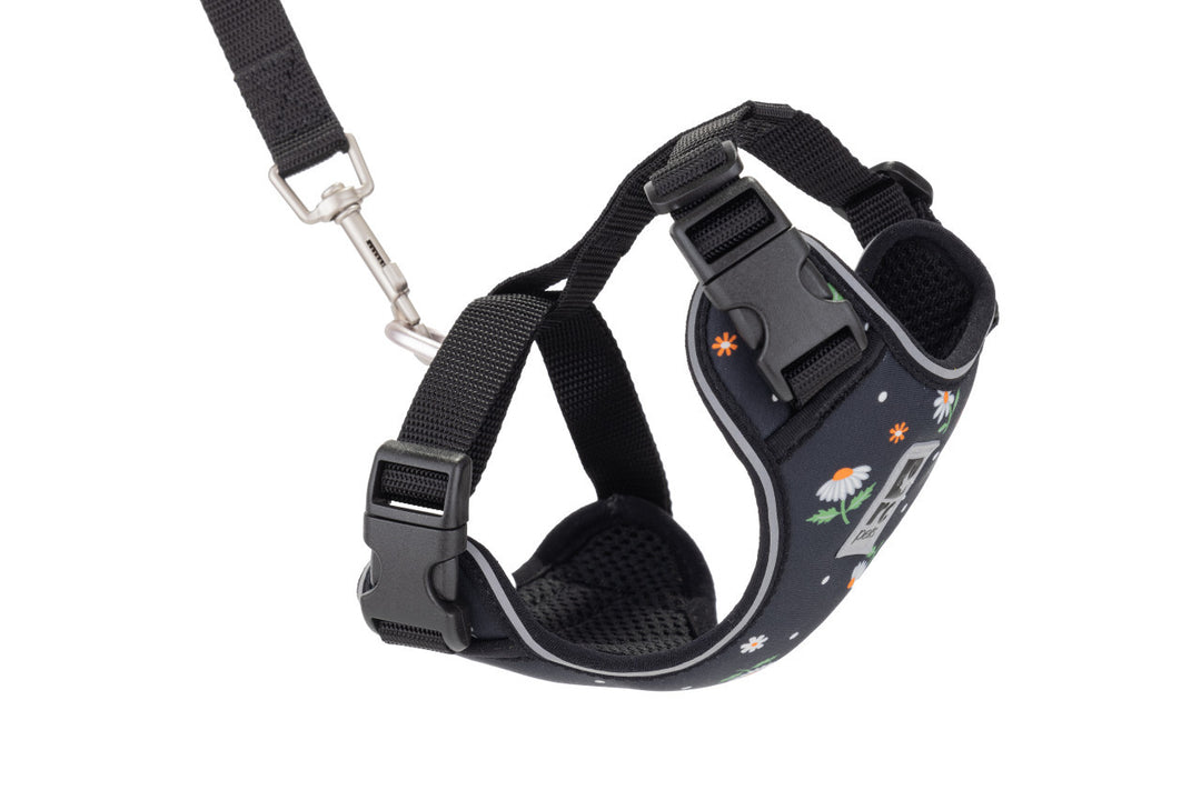 RCP Chat Harnais Aventure L 15-22" Marguerites