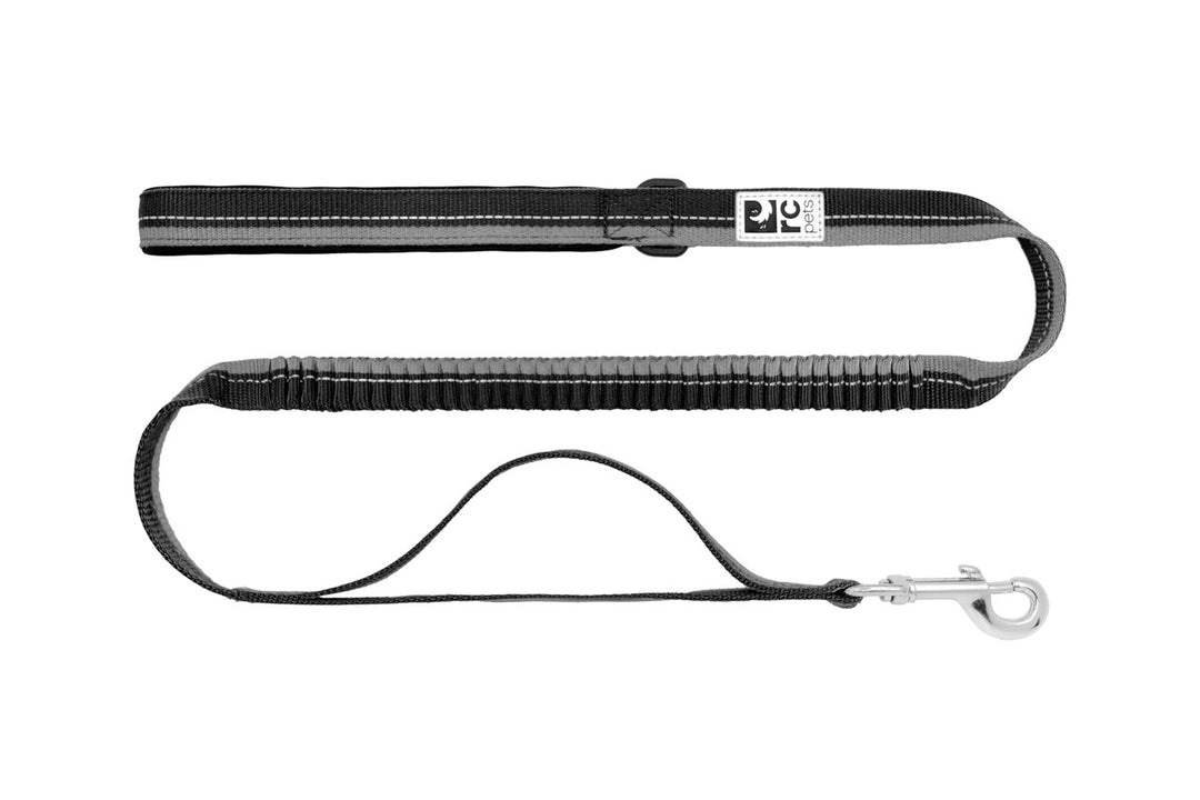 RCP Laisse Élastique 1x48" Noir