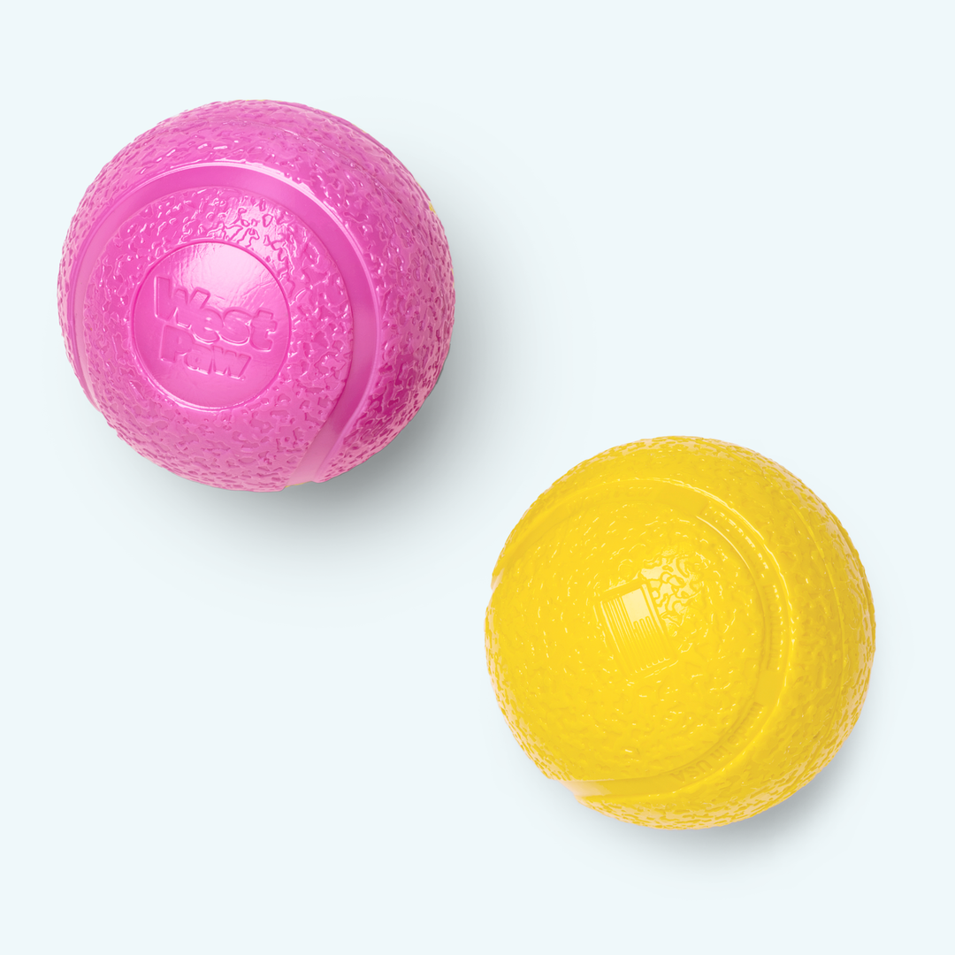 WEST PAW Jouet Chien Zogoflex Echo Boundr Rose