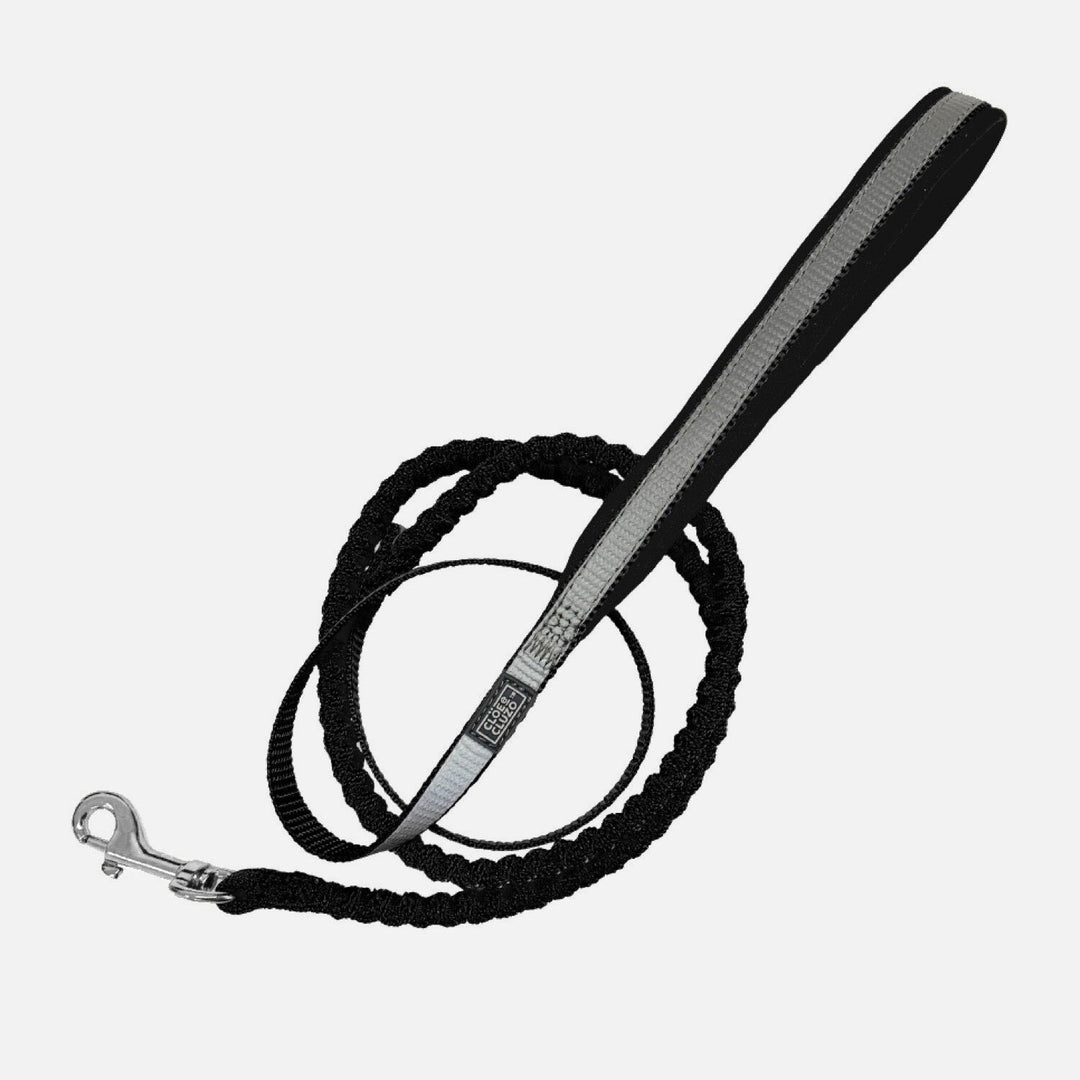CLOE CLUZO Chat Laisse Réfléchissant Élastique 48" Noir