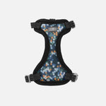 Voir l’image dans la galerie, CLOE CLUZO Chat Harnais Filet Motif Constellation L/XL