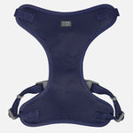 Voir l’image dans la galerie, CLOE CLUZO Harnais Ajustable en Filet S/M Bleu Royal