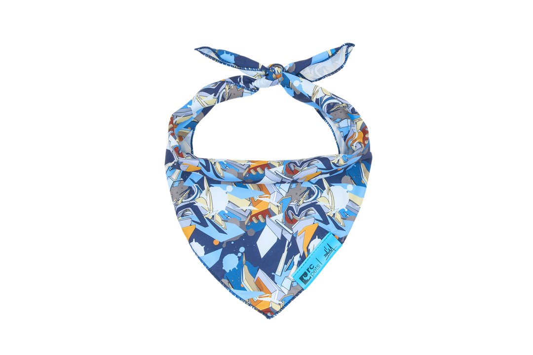 RCP Bandana Série d'Artistes Daim D1