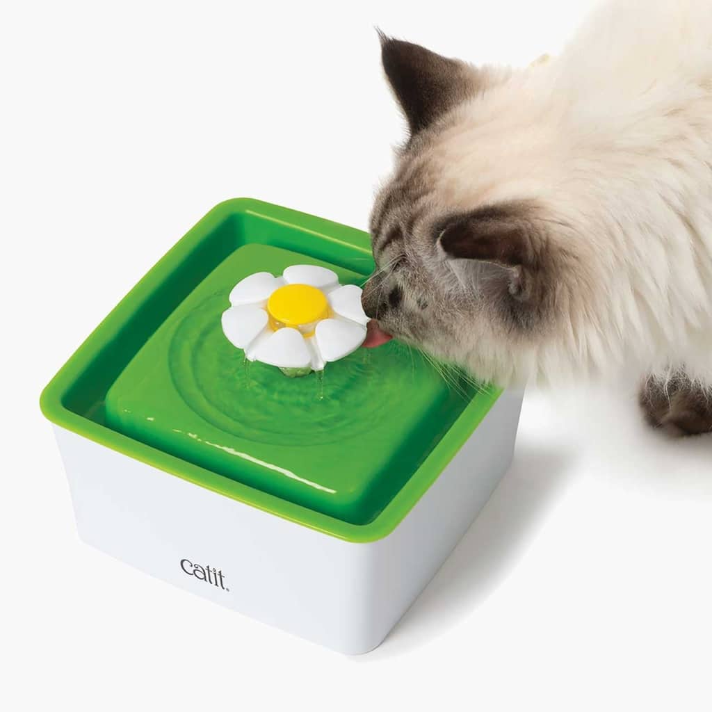 Catit - Mini Abreuvoir à Fleur - Abreuvoir pour Chats