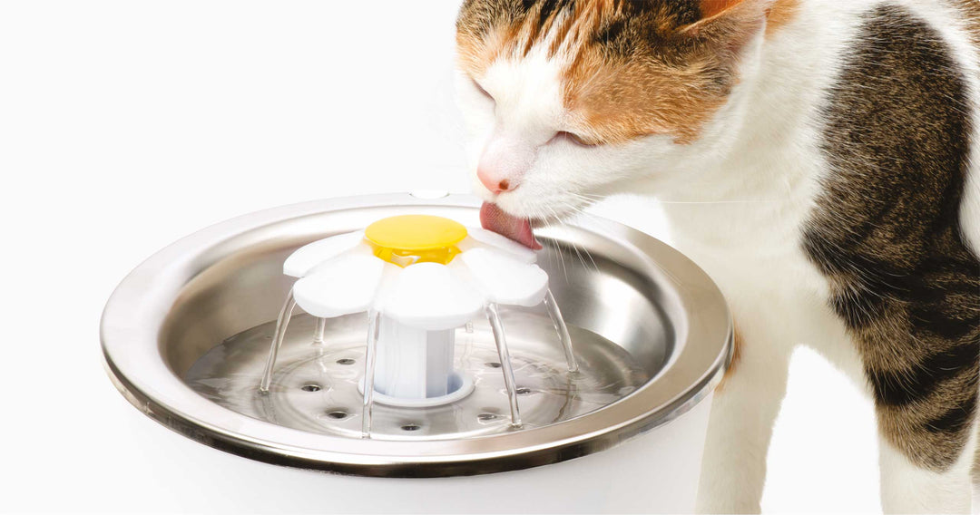 Catit - Abreuvoir à Fleur - Abreuvoir pour Chats