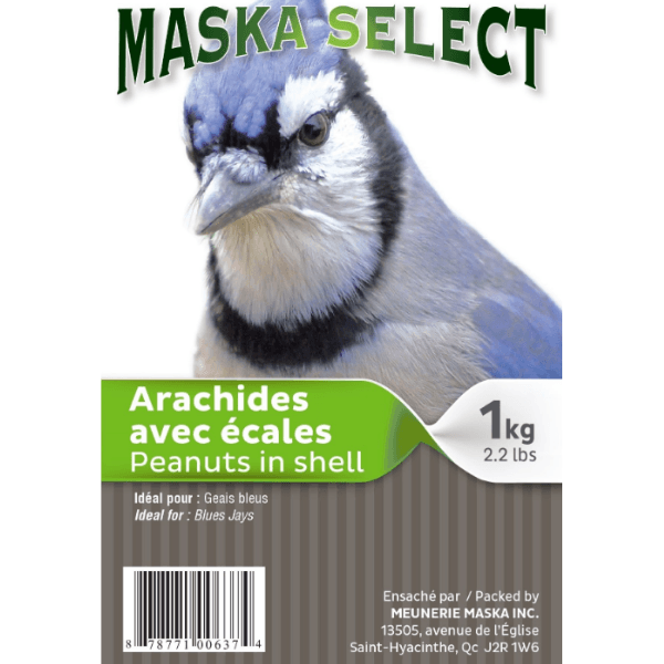 MASKA SELECT Nourriture Arachides en Écales 1kg pour Oiseaux Sauvages