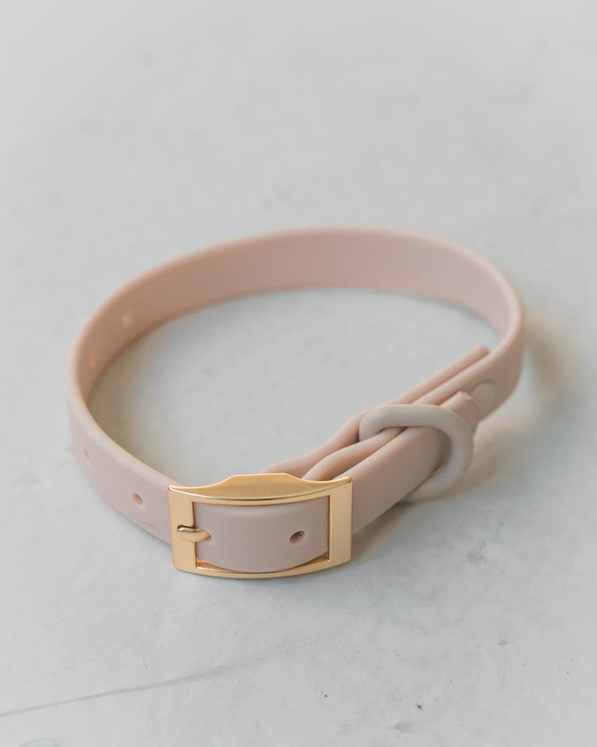 Dexypaws - Collier Imperméable - Collier pour Chiens