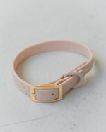 Voir l’image dans la galerie, Dexypaws - Collier Imperméable - Collier pour Chiens