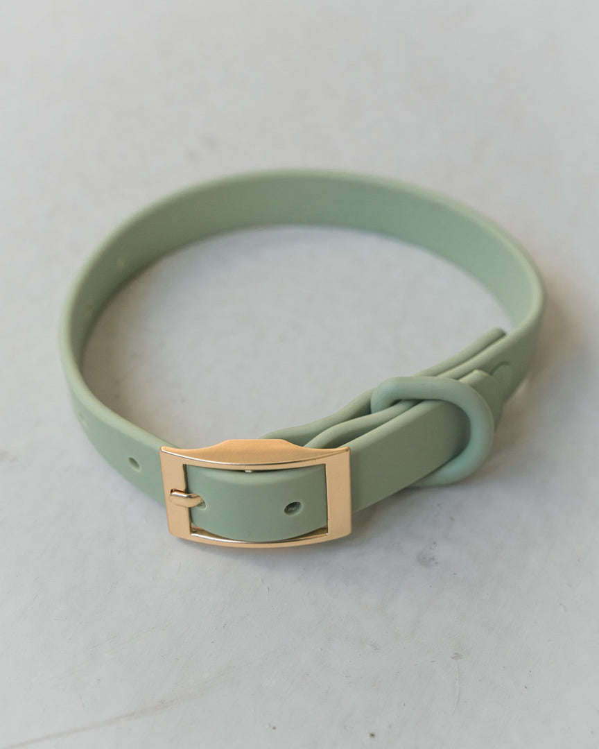 Dexypaws - Collier Imperméable - Collier pour Chiens