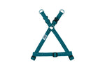 Voir l’image dans la galerie, RCP Harnais Base Step-In Base M Turquoise Foncé