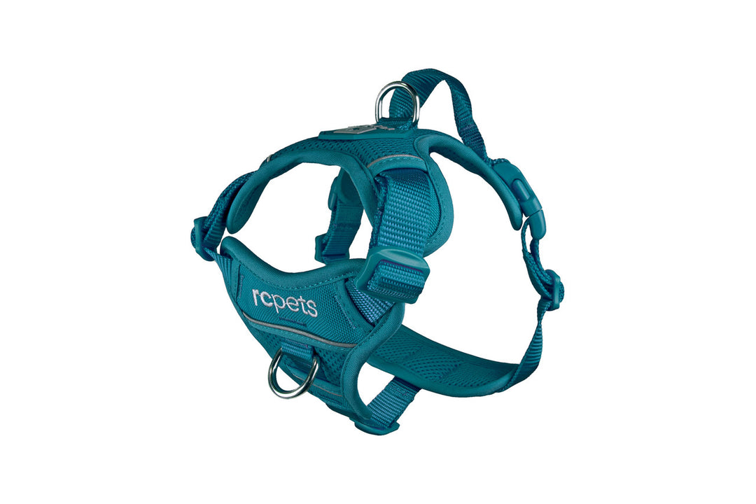 *RCP Harnais Contrôle Momentum L Turquoise Foncé