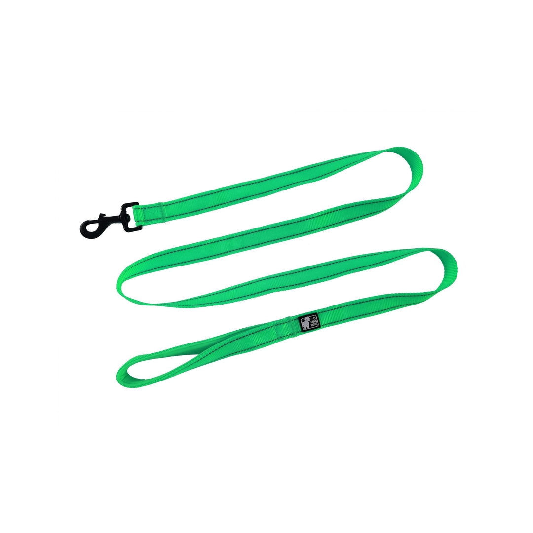 CHIEN BLANC EASY Laisse 6' Vert