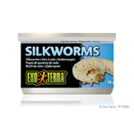 Voir l’image dans la galerie, EXO TERRA Nourriture Conserve Vers à Soie 34g XL pour Reptiles