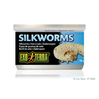 EXO TERRA Nourriture Conserve Vers à Soie 34g XL pour Reptiles
