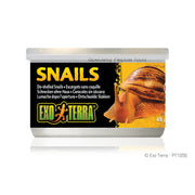 EXO TERRA Nourriture Conserve Escargots 48g pour Reptiles