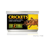 EXO TERRA Nourriture Conserve Grillons 34g pour Reptiles