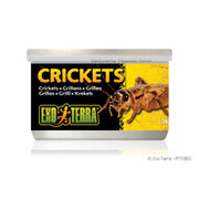 EXO TERRA Nourriture Conserve Grillons 34g pour Reptiles