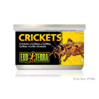 EXO TERRA Nourriture Conserve Grillons 34g pour Reptiles
