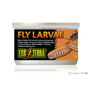 EXO TERRA Nourriture Conserve Larves de Mouches 34g pour Reptiles