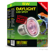EXO TERRA Ampoule 5W à Lumière du Jour Nano à DEL pour Reptiles