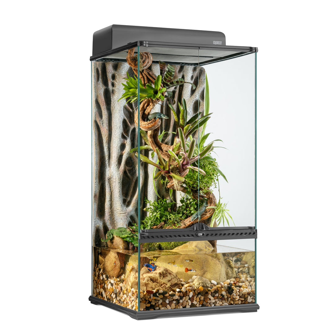 *EXO TERRA Paludarium en Verre/Arrière-Plan, Petit Très Haut pour Reptiles