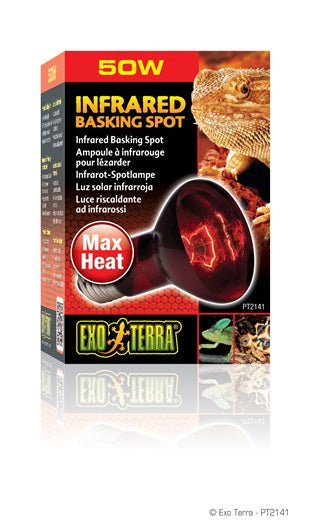 Exo Terra - Ampoule-Spot Chauffante Infrarouge - Éclairage pour Terrariums