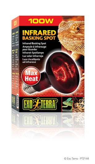 Exo Terra - Ampoule-Spot Chauffante Infrarouge - Éclairage pour Terrariums