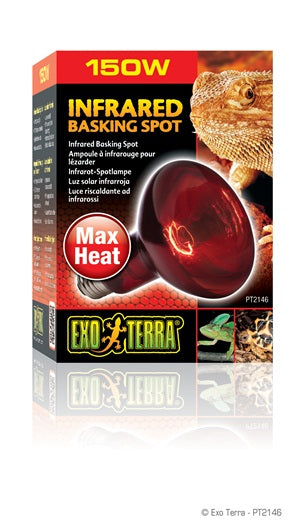 Exo Terra - Ampoule-Spot Chauffante Infrarouge - Éclairage pour Terrariums