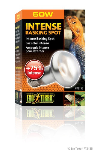 Exo Terra - Ampoule-Spot de Lézardage Intense - Éclairage pour Terrariums