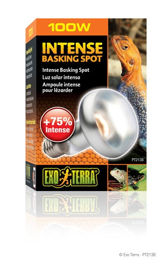 EXO TERRA Ampoule Intense 100W S25 pour Reptiles