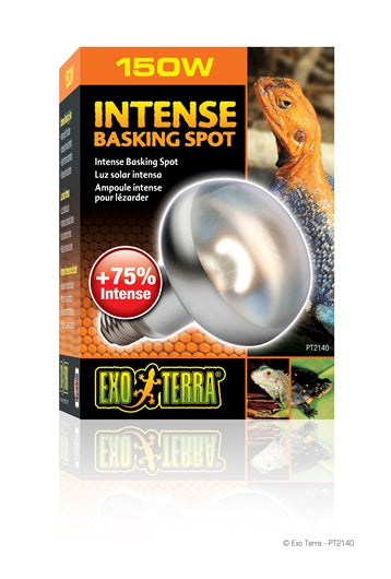Exo Terra - Ampoule-Spot de Lézardage Intense - Éclairage pour Terrariums