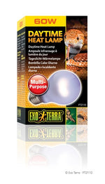 Voir l’image dans la galerie, EXO TERRA Ampoule 60W Infrarouge A19 pour Reptiles