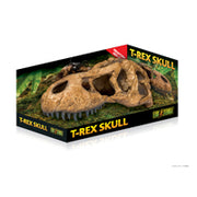 EXO TERRA Crâne de Tyrannosaure L pour Reptiles