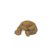 EXO TERRA Grotte pour Reptiles S