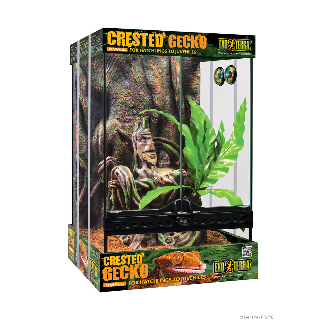 *EXO TERRA Terrarium Équipé Gecko à Crête