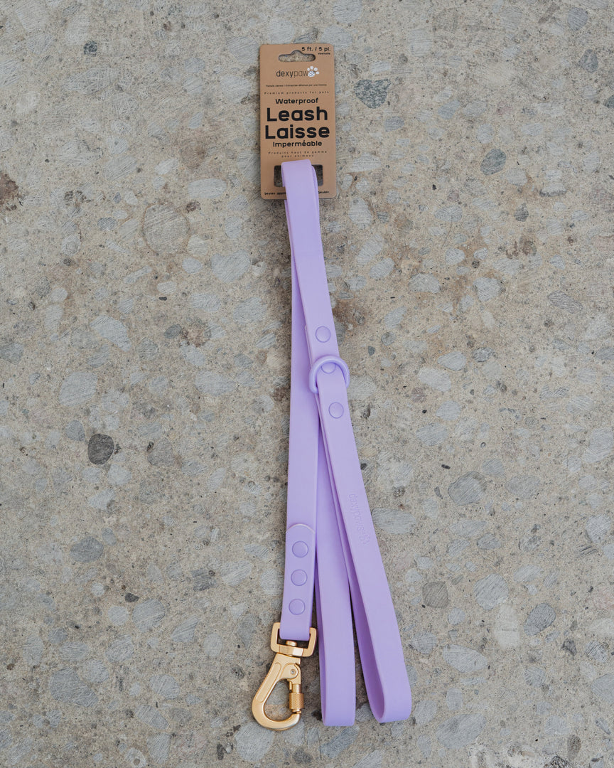 Dexypaws - Laisse Imperméable - Laisse pour Chiens