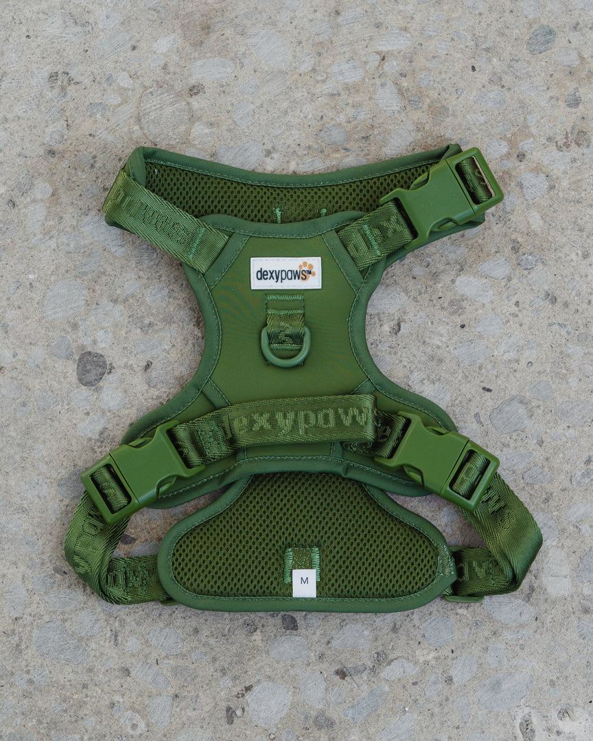 Dexypaws - Harnais Sans Traction - Harnais pour Chiens