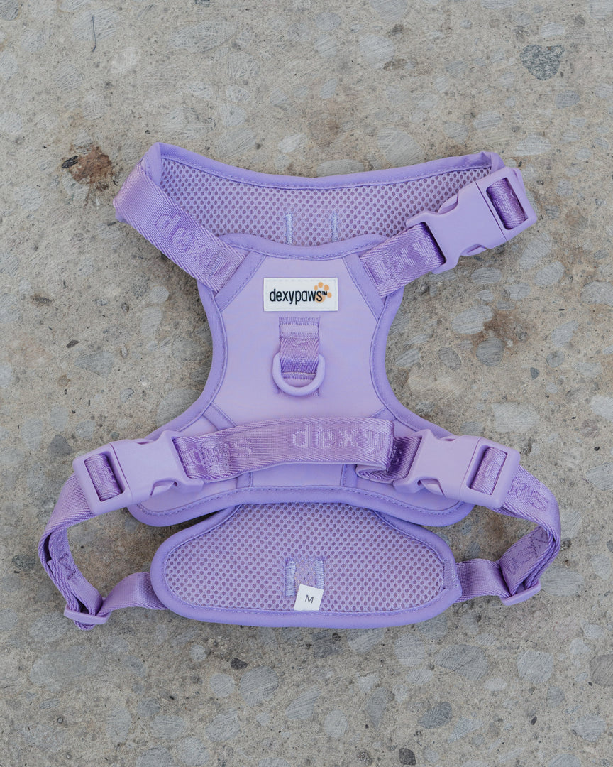 Dexypaws - Harnais Sans Traction - Harnais pour Chiens
