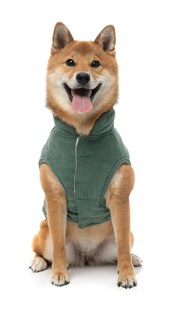 FUZZYARD Life Veste Velours Côtelé Vert #5