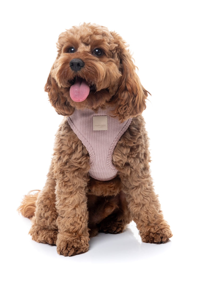 FUZZYARD Life Harnais Step-In Velours Côtelé Blush Doux XL