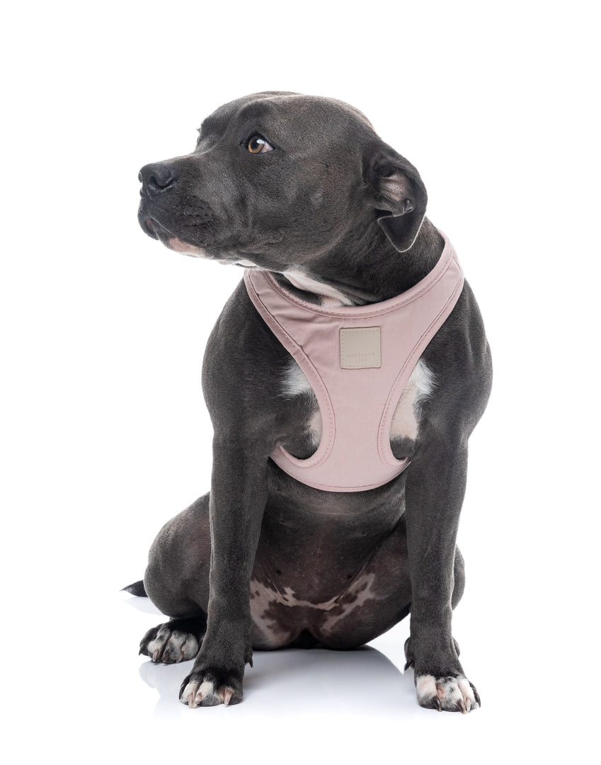 FUZZYARD Life Harnais Step-In Coton Blush Doux S