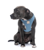 Voir l’image dans la galerie, FUZZYARD Life Harnais Step-In Coton Bleu S