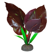 FLUVAL Betta Plante Saurure Penchée 6
