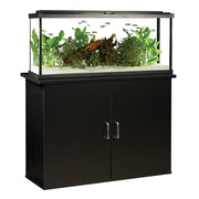 FLUVAL 55 Aquarium Équipé/DEL 55G