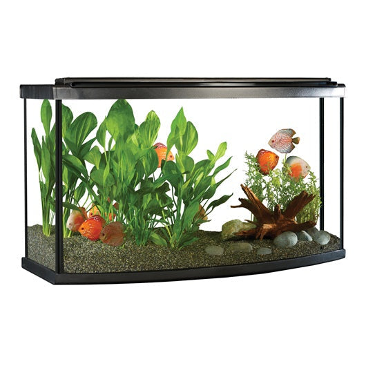 Fluval - Aquarium Équipé à Façade Bombée avec Éclairage DEL - Aquarium pour Poissons