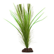 FLUVAL Plante Myriophylle Brésilien Vert & Vallisnérie 12