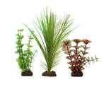 Voir l’image dans la galerie, FLUVAL Plante Limnophila Rouge 4-8&quot; x3 pour Aquarium
