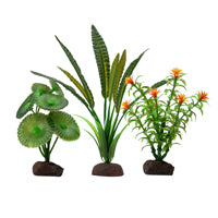 FLUVAL Plante Élodée 4-8" x3 pour Aquarium