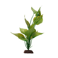 FLUVAL Plante Saurure Penché 12" pour Aquarium